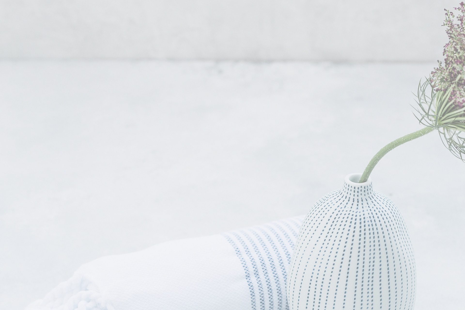 Header image3